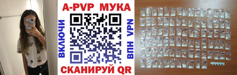 Альфа ПВП СК  Великий Устюг 
