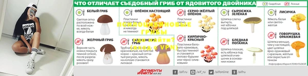 apvp Бугульма