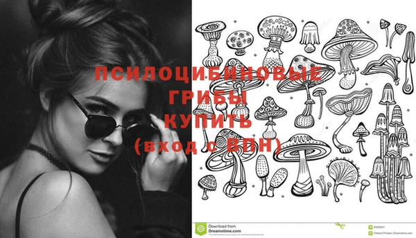наркотики Бородино