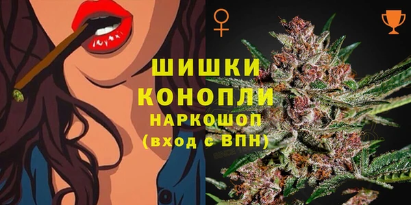 ПСИЛОЦИБИНОВЫЕ ГРИБЫ Бронницы