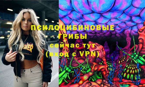 apvp Бугульма