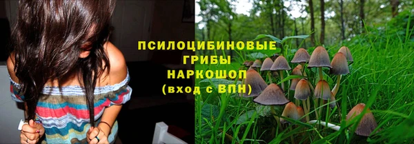 ПСИЛОЦИБИНОВЫЕ ГРИБЫ Бронницы