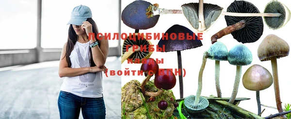 прущая мука Алапаевск