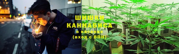 ПСИЛОЦИБИНОВЫЕ ГРИБЫ Бронницы