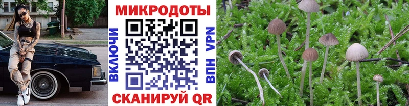 Псилоцибиновые грибы мухоморы  Великий Устюг 
