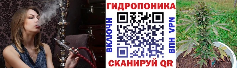 Бошки марихуана MAZAR  нарко площадка наркотические препараты  Великий Устюг 